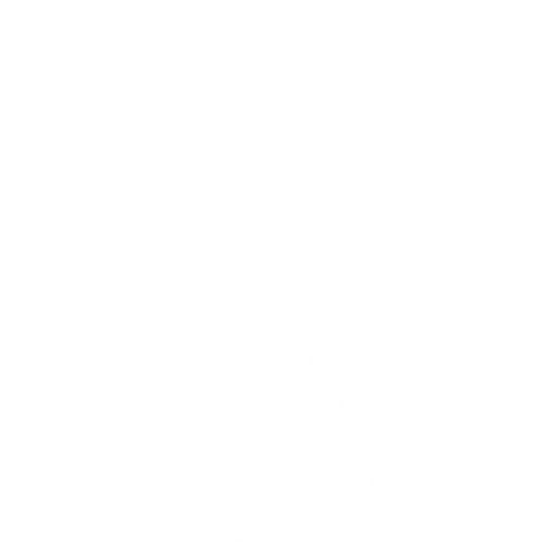 Fox Cross Training em Serra-ES, academia de Cross Training com treino em grupo, musculação e exercícios aeróbicos.