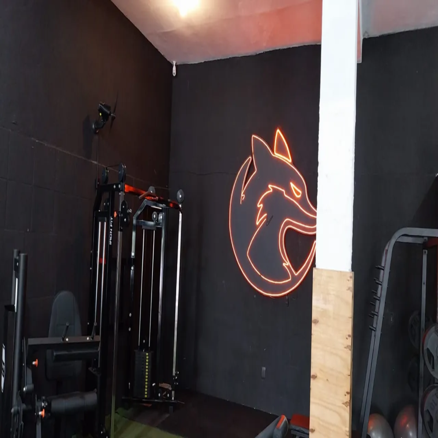 Fox Cross Training em Serra-ES, academia de Cross Training com treino em grupo, musculação e exercícios aeróbicos.